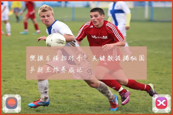 樊振东横扫对手！关键数据揭秘国乒新王炸养成记