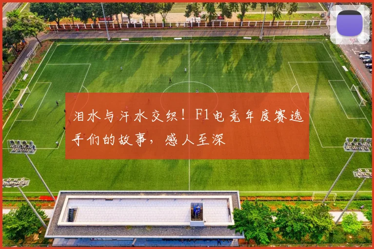 泪水与汗水交织!F1电竞年度赛选手们的故事,感人至深