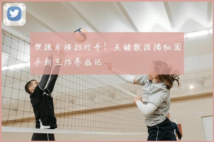 樊振东横扫对手！关键数据揭秘国乒新王炸养成记